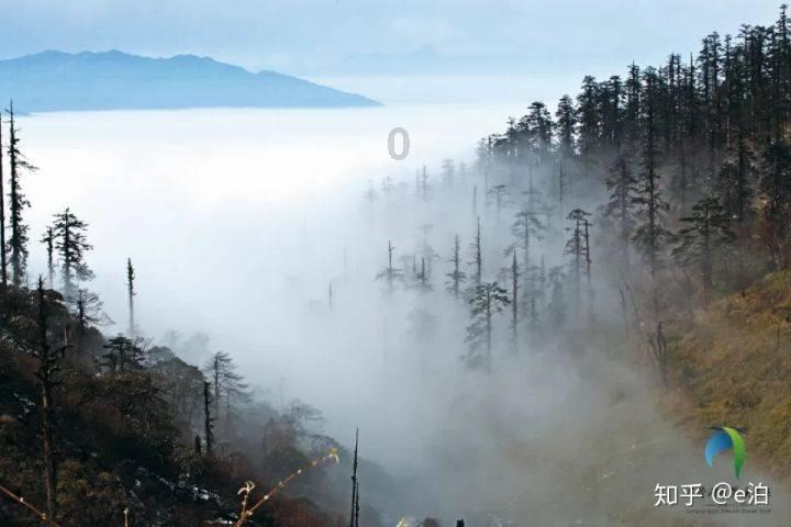 米纳斯的维纳斯真的很美吗??
