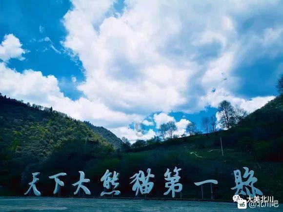 燃烧吧大脑免广告最新版