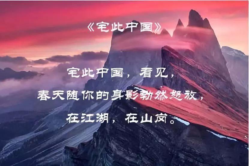 救援小棕兔